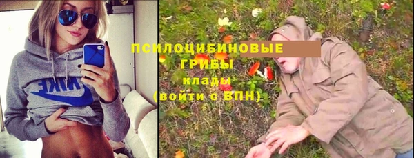 дмт Володарск